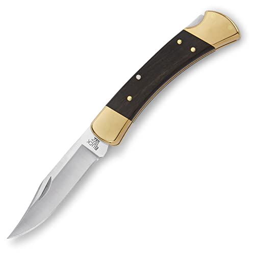 Buck Knives 110 Folding Hunter Lock-back Knife, Brass Bolsters, Ebony Handles, 3-3/4″ 420HC Blade with Leather Sheath