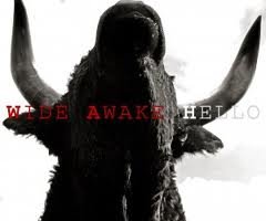 Wide Awake Hello