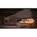 Taylor 414ce Studio Special Edition Acoustic-electric Guitar - Natural