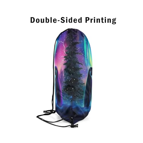 jejeloiu Penguin Drawstring Backpack 13x15.7inch Northern Light Gym String Bag Galaxy Northern Light Decor Sports Drawstring Sackpack4