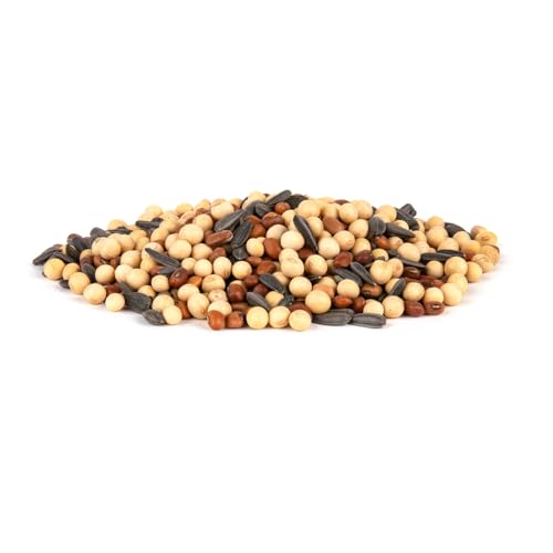 Image of Whitetail Institute PowerPlant Deer Food Plot Seed for Spring Planting, 25 lbs