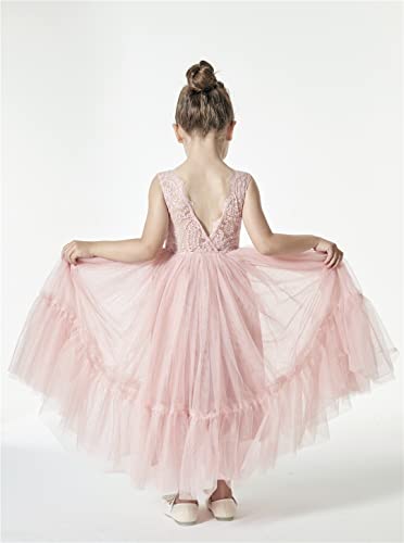 2Bunnies Girl Paisley Lace Back A-Line Straight Tutu Tulle Party Flower Girl Dress3