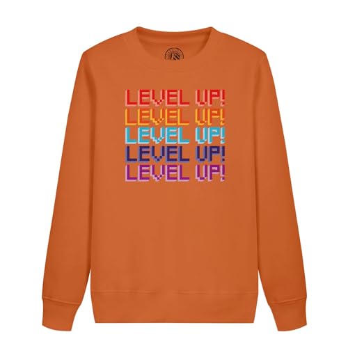 Sweatshirt enfant Level Up pour les fans de jeux video retro gaming pixel 8 bits