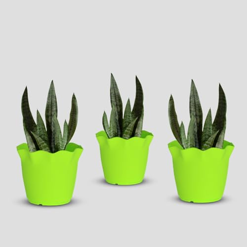 Image of YUCCABE ITALIA SHERA 8 Inch Plastic Flower Pot 3 Piece Set of Unbreakable Round Shape Planter for Home Garden Seedling, Indoor and Outdoor (Green)