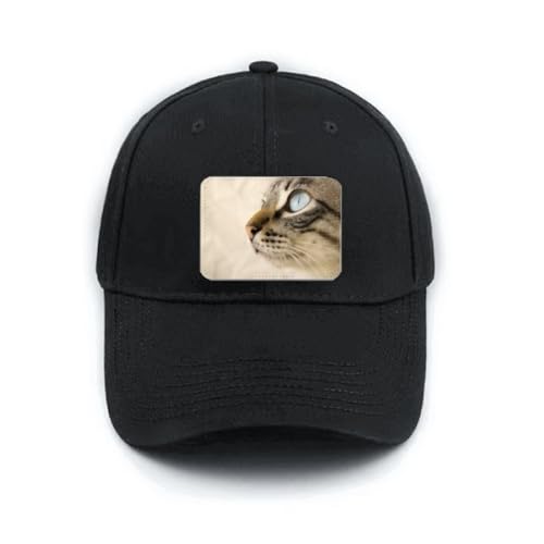 Casquette chaton gris yeux bleus idéale pour vos balades en plein air
