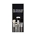 Sigma Beauty Professional Basic 5 Pc Synthetic Face Makeup Brush Set with SigmaTech fibers for Blush, Concealers, Eye Shadows Contouring and Highlighting Applications