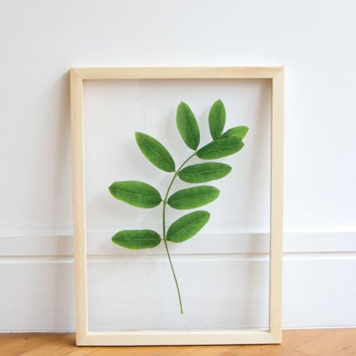 Image of Desi Rang Wooden Rectangular Frame For Wall Decor Table Top Hanging Any Green Or Dry Plant Leaf Picture Photo DIY Gift Home Decoration (Wood,Rec,8X12Inch,With Dry Leaf)
