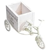 Centres de table : de taille moyenne, le support à fleurs en forme de vélo est plus pratique pour les états-unis, permettant de ranger facilement des fleurs et autres articles