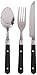 Coleman 12-Piece Stainless Steel Flatware Set