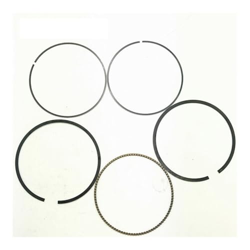 Segments de piston 102mm haute résistance thermique pour Bennche et TSC