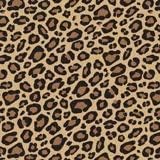 Animal Leopard Print - Craft Tissue Wrapping Paper - 50 Sheets - 18GSM Acid Free - 50 x 75cm / 20 x 30 inches
