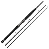 Westin W2 Boat 195cm H 12-20lbs 100-250g - Bootsrute, Angelrute, Steckrute