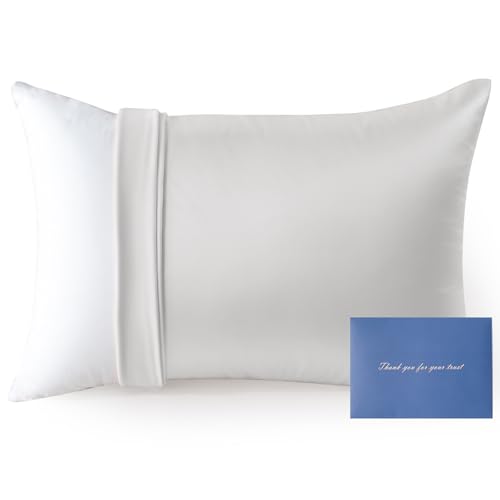 【とろける・シルク調サテン】AIFY 枕カバー 43×63cm 封筒型 洗える 髪にやさしい 低摩擦 ピローケース 1枚 ペールグレー