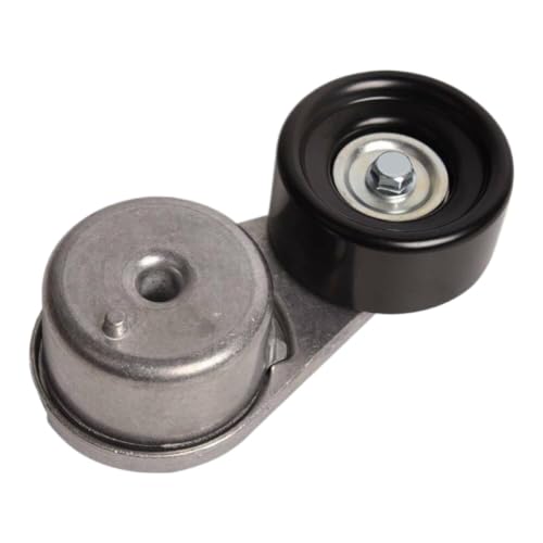 Poulie de tendeur de courroie 6689611 galet tendeur pour moteur de chargeuse compacte