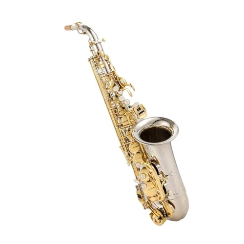 tFbViTbNX EAgTbNX Vo[bL P[Xƃ}EXs[Xt