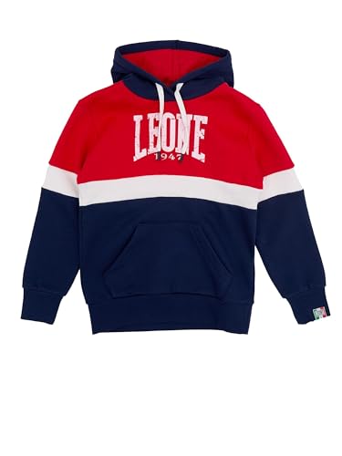 Sweat à capuche lion enfant gris vêtement garçon mode avec motif animal