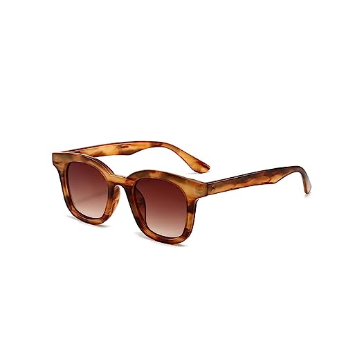 Lunettes de soleil dégradées anti-éblouissement avec filtres UV400 pour femme élégante