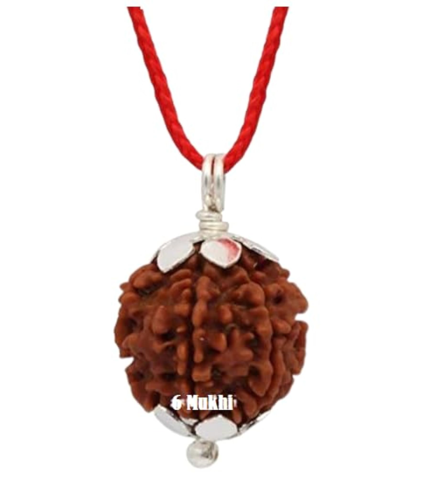 Nepali 6 Mukhi Rudraksha Bead, Certified Original for Auspiciousness