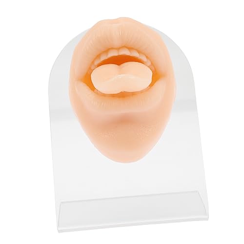 Beatifufu Tongue Piercing Training Silicone Model Piercing Practice Supplies Real Skin Feel