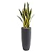 Nearly Natural 3-Ft. Sansevieria Artificial Gray Bullet Planter Silk Plants, Green