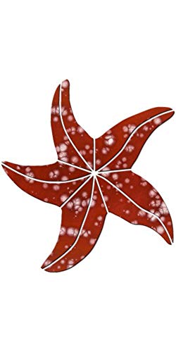 Large Starfish Ceramic Swimming Pool Mosaic (10