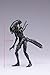 Hiya Toys Alien vs. Predator: Requiem Xeno Warrior 1:18 Scale Figure,Multicolor