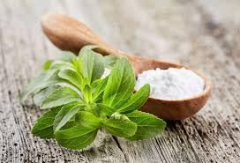 Image of Fresh Stevia Live Plant, Natural Sugar Alternative Herb, Medicinal Garden Plant for Home Growing, Single Pack without Pot