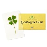 Real Four Leaf Clover Bookmark, Elegant 4 Leaf Clover Charm, Perfect Gift for Book Lovers, Preserved Four Leaf Clover in Laminated Bookmark