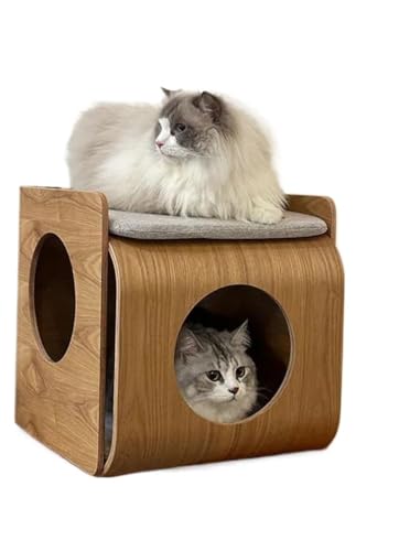 BLINGOOD L P[W ؐ LbgP[W ybgP[W ^ L̉ lƔLp ԑ䌓p ֎qp L̉BƃiCge[u ȃXy[X tsv t@bViu (ؐF)