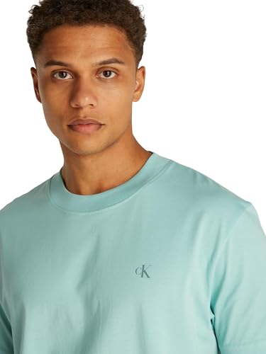 Calvin Klein Herren T-Shirt Kurzarm Painted Tee mit Rundhalsausschnitt, Blau (Fresh Mint), XXS – Ansicht 4
