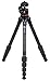Revic Stabilizer Backpacker Tripod, Black/Carbon, PD-G2053
