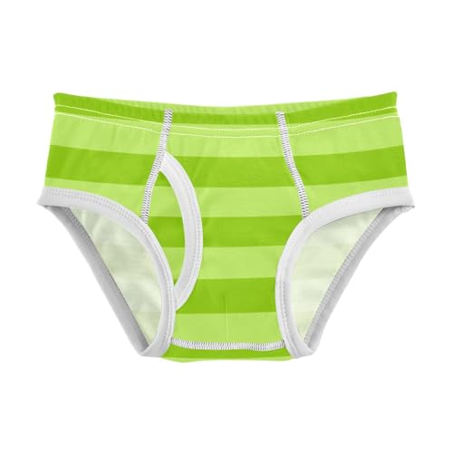 Gradient Green Stripe Toddler Boy's Underwear 2T