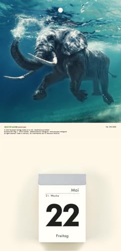 Tabiques de fotos para animales tipo 301 y 302 surtidos