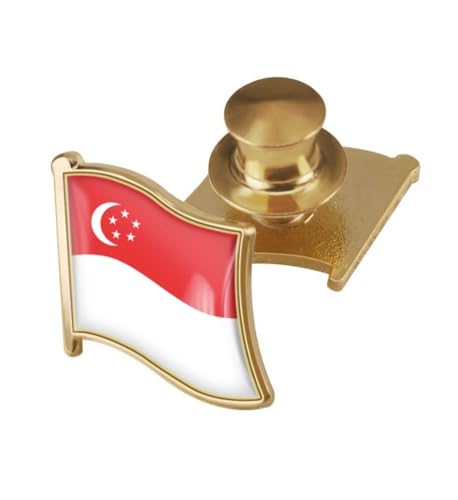 Image of vmcoatdu Country Flag Backs Locking Pin Keepers Locking Clasp Pin Badge International Travel Brooch Metal Alloy Souvenir Pin 0.75x0.7 Inch Small Pin
