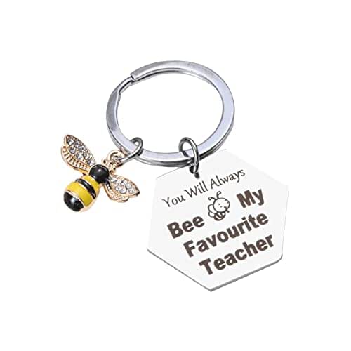 Teacher Appreciation Gifts, Gifts for Teachers Stainless Steel Keychain, Thank You