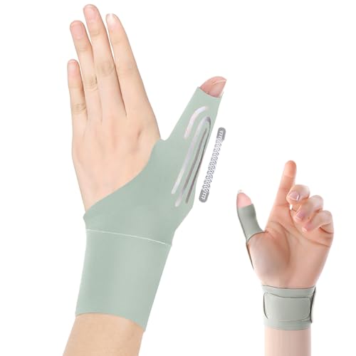  ew T|[^[ yw@m̐EzydŒ/XvOo[z F Œ ی \ ewtT|[^[ ؃g ی h~ ^ y z X|[c Ǝ 玙 p\R/X}z jp (, O[)