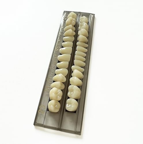 Image of 56pcs Dental Synthetic Resin Teeth Denture False Tooth Denture Model Teeth 2 Sets Halloween Horror Teeth, 23 A3