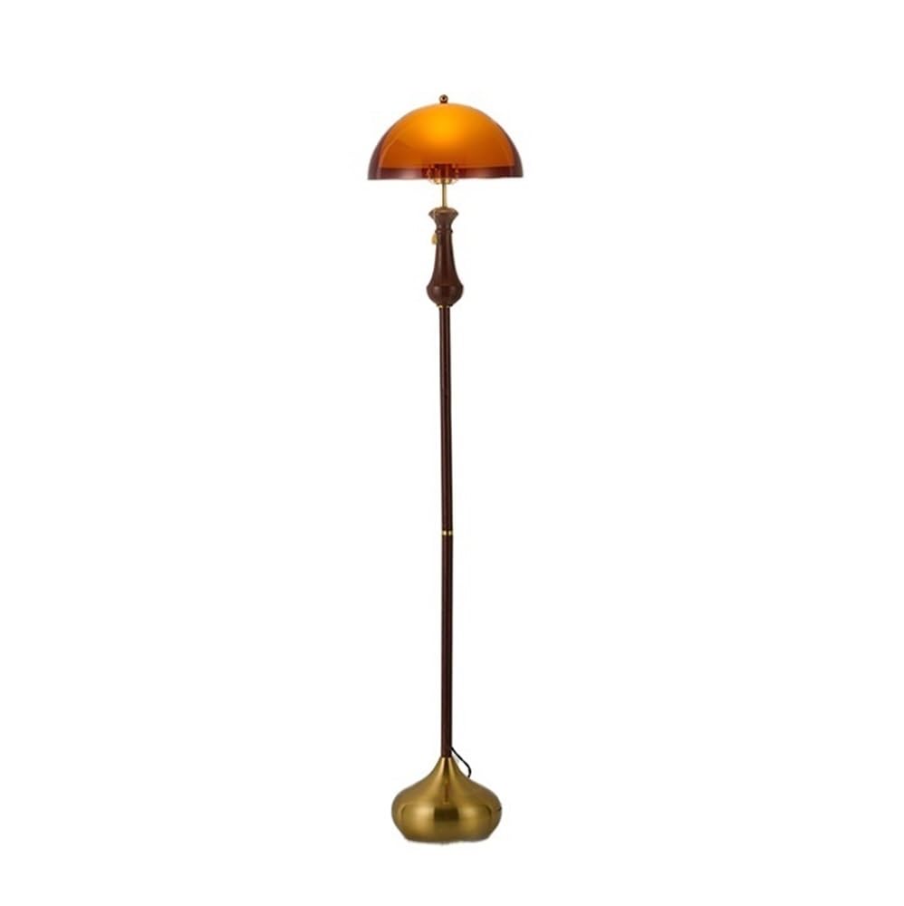 Mw9sBd8rF Floor Lamp Brown Retro Floor Lamp Acrylic Lampshade Living Room Sofa Beside Simple Study Bedroom Three Colors Change Light