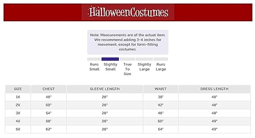 FunPop Dragon Warrior Plus Size Fancy Dress