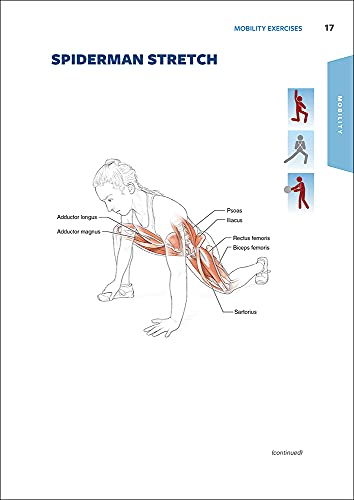 Functional Training Anatomy - Image 2
