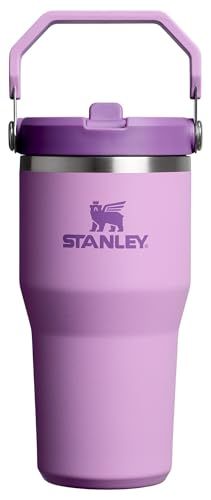 STANLEY IceFlow 2.0 Flip Straw Tumbler with Handle 20 oz | Twist On Lid and Flip Up Straw | Leak Resistant Water Bottle | Insulated Stainless Steel | BPA-Free | Lilac