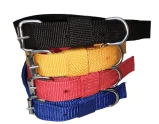 RvPaws Strong Nylon Dog Collar 1 INCH Dog Daily Use Collar Color May Vary (B09J2B25MY) Amazon Price History, Amazon Price Tracker