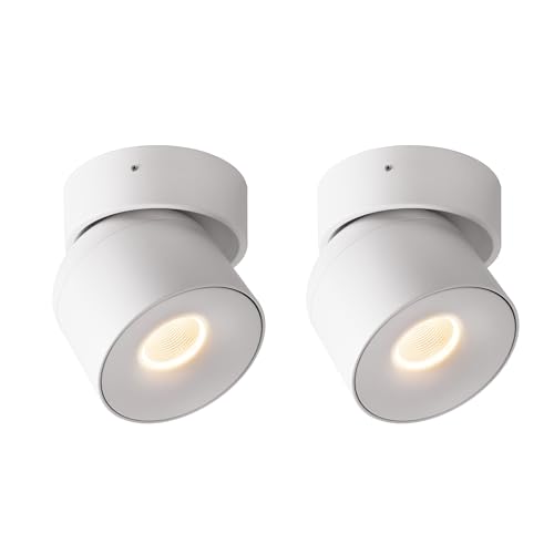 Image of Aisilan 15W LED Dimmable Ceiling Spotlight, Adjustable Directional Surface Flush Mount Lighting, Wall Spot Lights Indoor Accent Fixture for Art Picture Gallery Paintings, 3000K, White