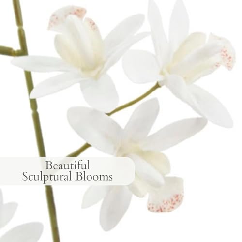 Image of CG Hunter Faux Vanda Orchid Plant, Premium Artificial Indoor Flower Display Stands 26 inch, Beautiful Sculptural Blooms that Lasts Forever, White Planter Pot Included