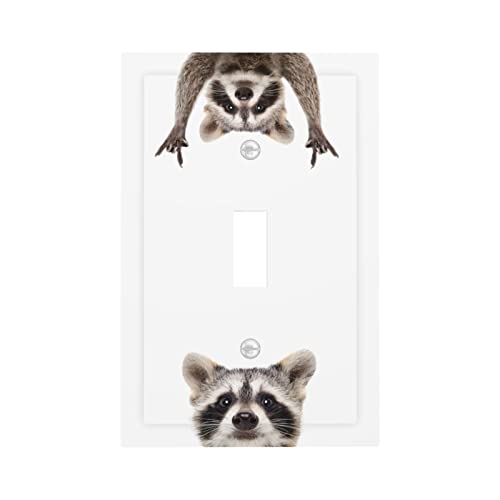 Cute Animals Raccoon Faceplate Switchplate 1 Gang Single Toggle Wall Plate Decoraive Light Switch Cover Kids Boys Girls Bedroom Playroom Nursery Decorate Jumbo Size #TOP11
