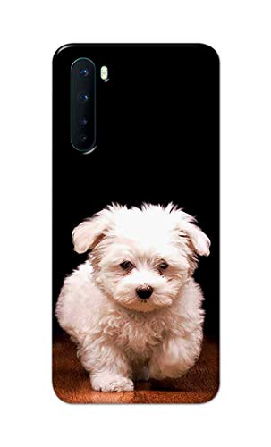 Image of Printed Hard Back Cover Case for OnePlus Nord 5G - 2020 Model | OnePlus Nord 1 Back Cover (Puppy Dog) -203
