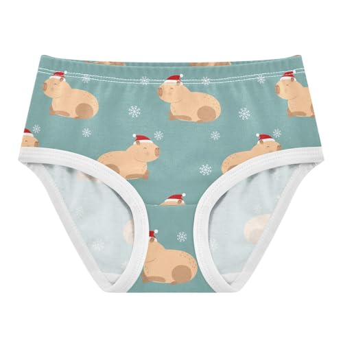 Wusikd Capybara Red Hat Girls' Underwear Cotton Snowflakes Girls Briefs Soft Toddler Underwear 5T