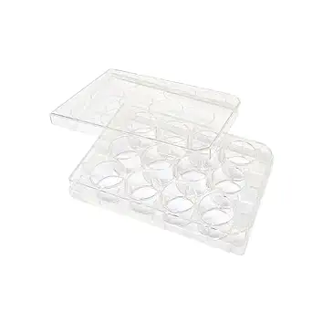 SPL Culture Plate 12 Wells - Non-Treated Flat Bottom Sterile (50/Case)