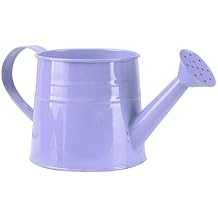 1/3 Gallon Metal Long Spout Mini Watering Can with Sprinkler Head and Handle,Plant Watering Can for Garden Bonsai House Flower Indoor