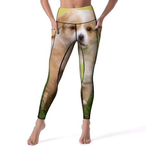 Yoga leggings pour fitness gym Chiot Mignon gainant taille haute S